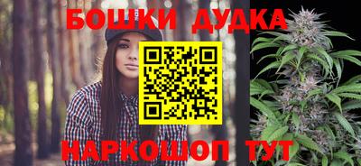 a pvp Дубна