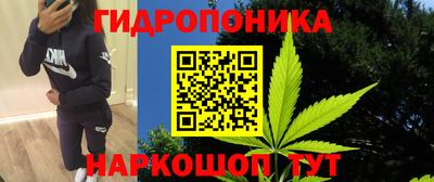 a pvp Дубна